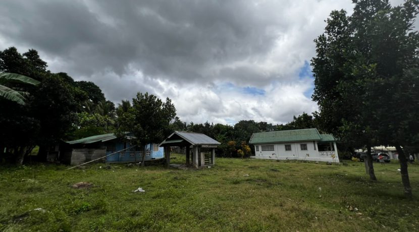 WhatsApp Image 2026-02-18 at 10.47.11 AM (1)