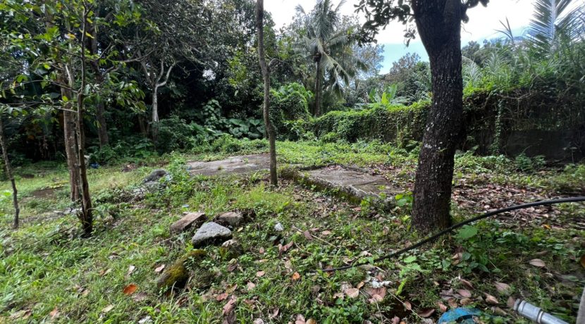 WhatsApp Image 2026-02-18 at 10.47.11 AM (2)