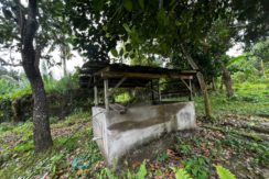 WhatsApp Image 2026-02-18 at 10.47.11 AM