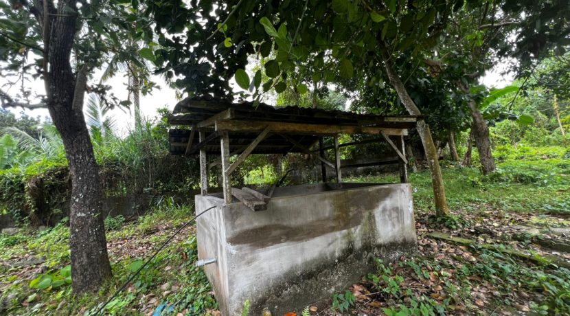 WhatsApp Image 2026-02-18 at 10.47.11 AM