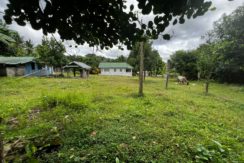 WhatsApp Image 2026-02-18 at 10.47.12 AM