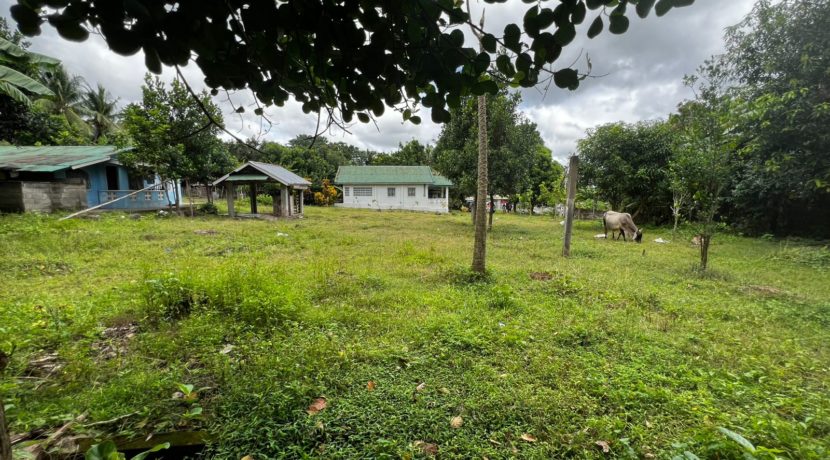 WhatsApp Image 2026-02-18 at 10.47.12 AM