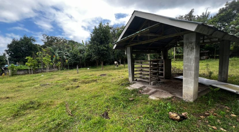 WhatsApp Image 2026-02-18 at 10.47.13 AM (1)