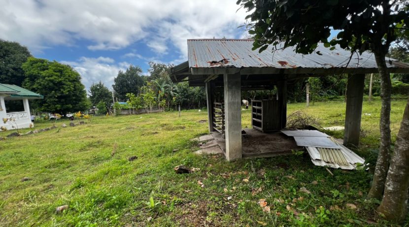 WhatsApp Image 2026-02-18 at 10.47.13 AM (2)