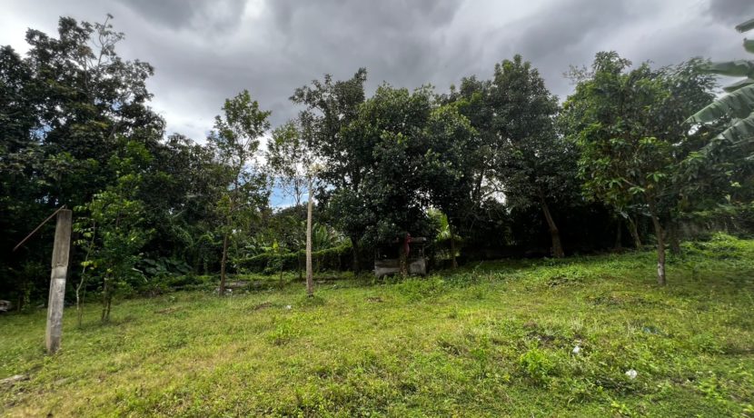 WhatsApp Image 2026-02-18 at 10.47.13 AM