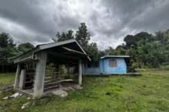 WhatsApp Image 2026-02-18 at 10.47.14 AM (2)