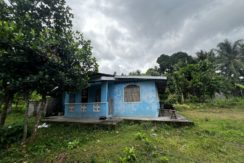 WhatsApp Image 2026-02-18 at 10.47.15 AM (1)