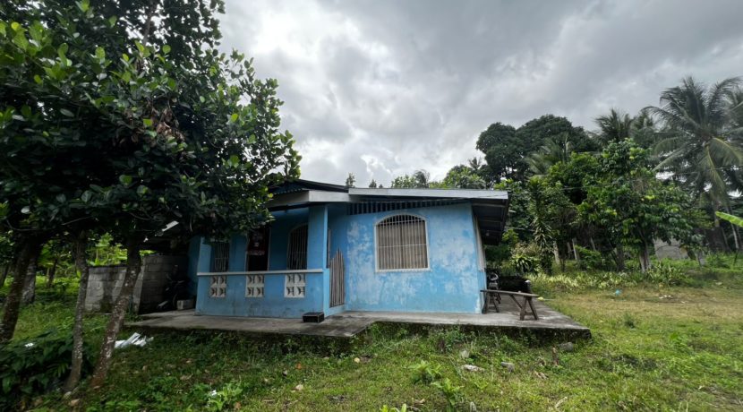 WhatsApp Image 2026-02-18 at 10.47.15 AM (1)