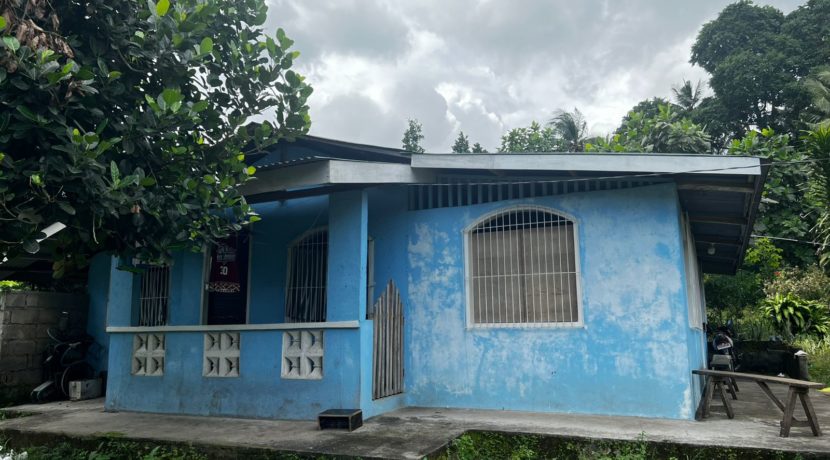 WhatsApp Image 2026-02-18 at 10.47.15 AM