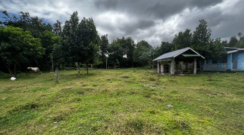 WhatsApp Image 2026-02-18 at 10.47.24 AM