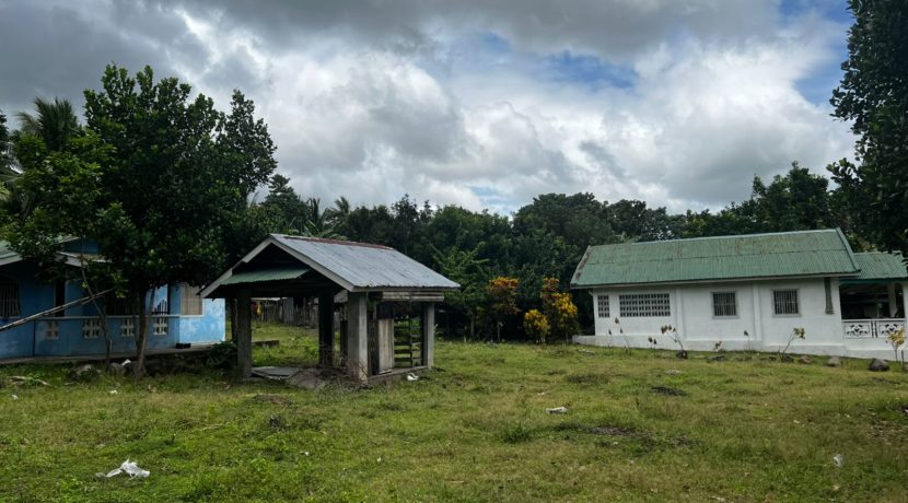 WhatsApp Image 2026-02-18 at 10.47.25 AM (1)