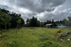 WhatsApp Image 2026-02-18 at 10.47.25 AM