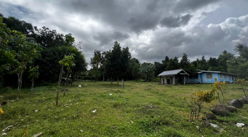 WhatsApp Image 2026-02-18 at 10.47.25 AM