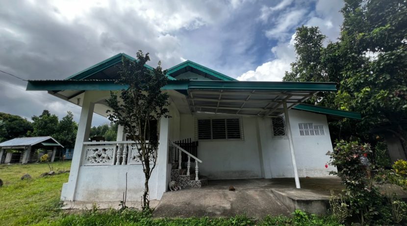 WhatsApp Image 2026-02-18 at 10.49.00 AM (1)