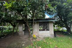 WhatsApp Image 2026-02-18 at 10.49.01 AM