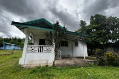 WhatsApp Image 2026-02-18 at 10.49.04 AM (2)