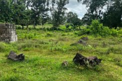 WhatsApp Image 2026-02-18 at 10.51.38 AM