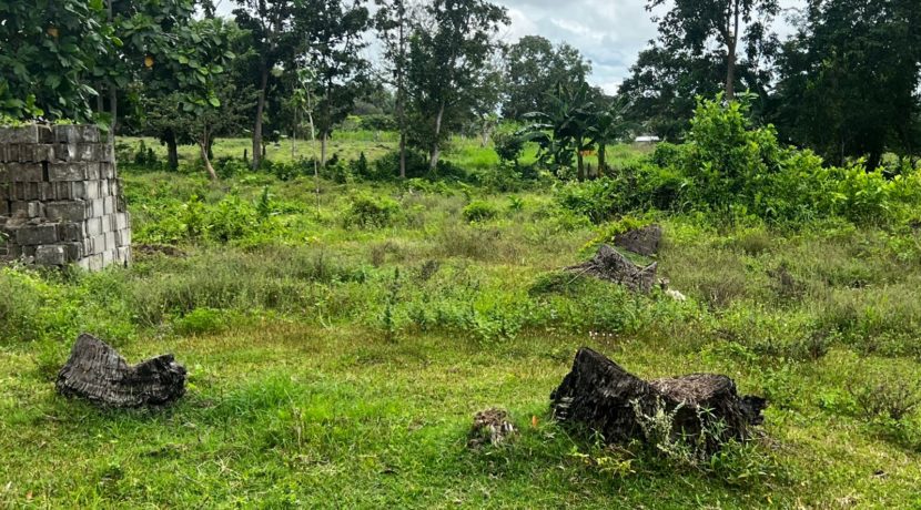 WhatsApp Image 2026-02-18 at 10.51.38 AM