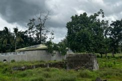 WhatsApp Image 2026-02-18 at 10.51.39 AM