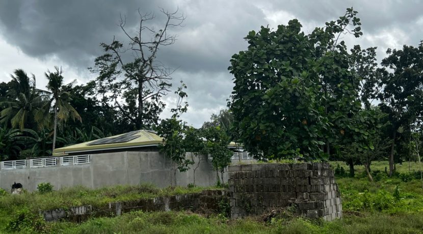 WhatsApp Image 2026-02-18 at 10.51.39 AM