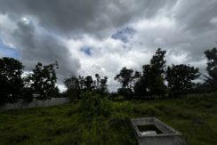 WhatsApp Image 2026-02-18 at 10.51.40 AM (1)