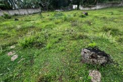 WhatsApp Image 2026-02-18 at 10.51.40 AM