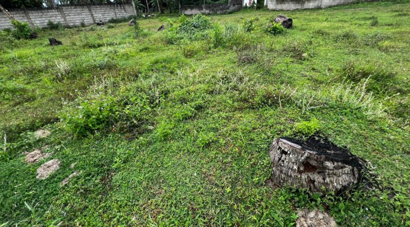 WhatsApp Image 2026-02-18 at 10.51.40 AM