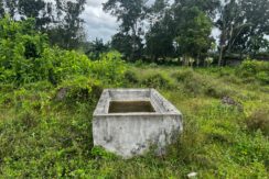 WhatsApp Image 2026-02-18 at 10.51.41 AM (1)