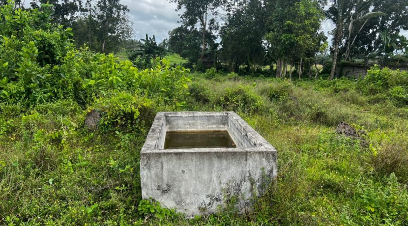 WhatsApp Image 2026-02-18 at 10.51.41 AM (1)