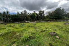 WhatsApp Image 2026-02-18 at 10.51.41 AM (2)