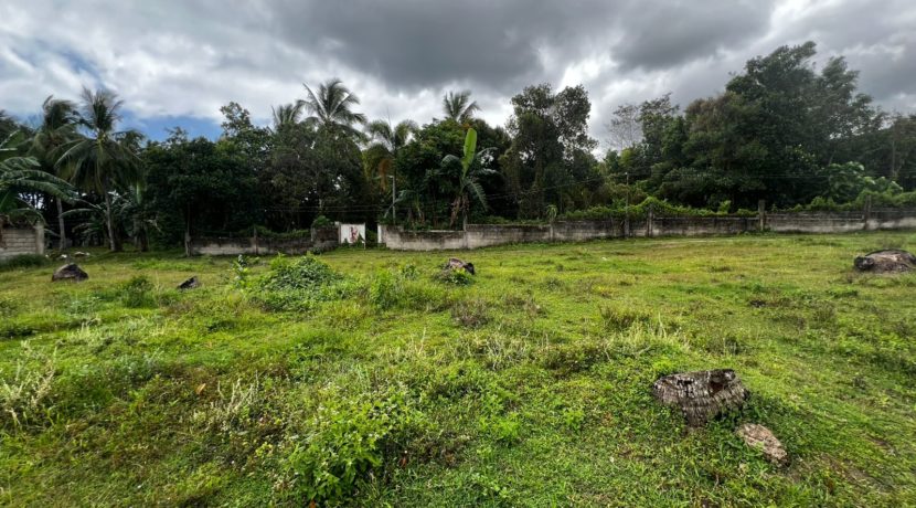 WhatsApp Image 2026-02-18 at 10.51.41 AM (2)