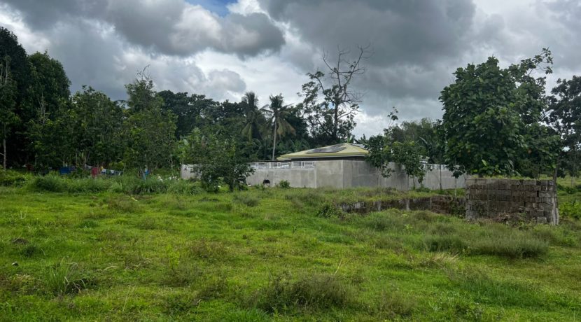 WhatsApp Image 2026-02-18 at 10.51.41 AM