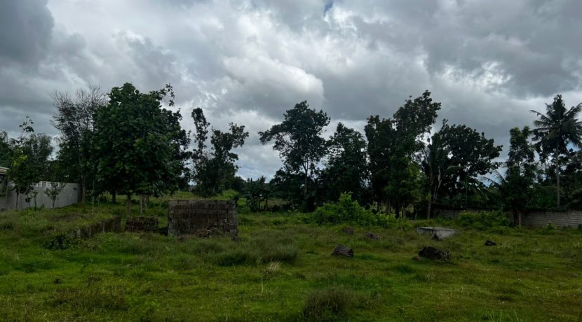 WhatsApp Image 2026-02-18 at 10.51.42 AM (1)