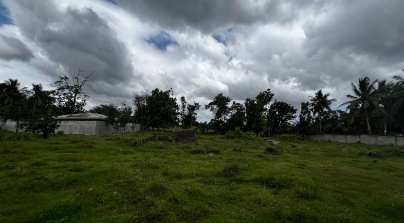 WhatsApp Image 2026-02-18 at 10.51.42 AM (2)