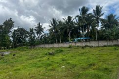 WhatsApp Image 2026-02-18 at 10.51.42 AM