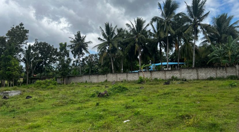 WhatsApp Image 2026-02-18 at 10.51.42 AM