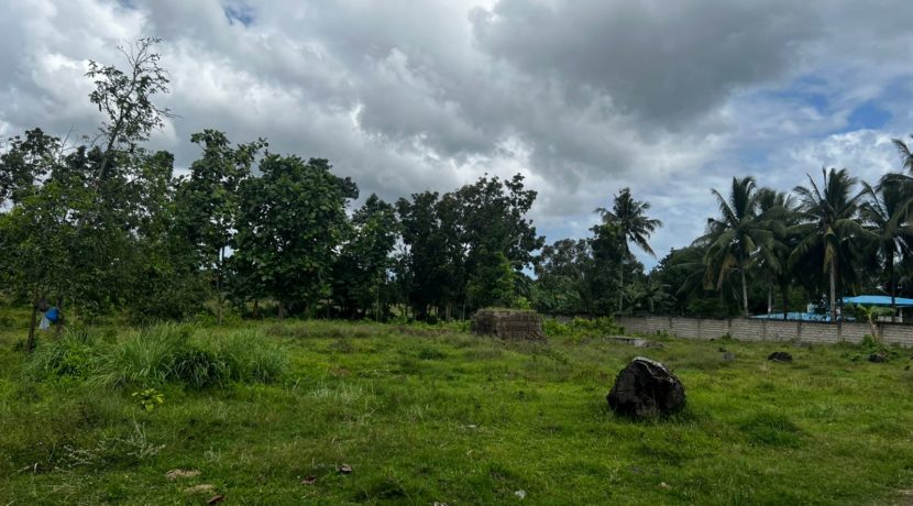 WhatsApp Image 2026-02-18 at 10.51.43 AM