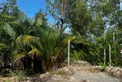 WhatsApp Image 2026-02-18 at 9.49.32 AM (1)