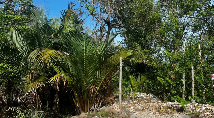 WhatsApp Image 2026-02-18 at 9.49.32 AM (1)