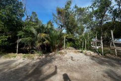 WhatsApp Image 2026-02-18 at 9.49.32 AM