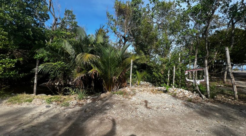 WhatsApp Image 2026-02-18 at 9.49.32 AM