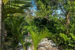 WhatsApp Image 2026-02-18 at 9.49.33 AM