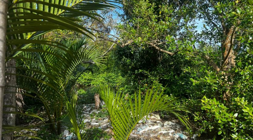 WhatsApp Image 2026-02-18 at 9.49.33 AM