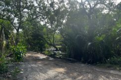 WhatsApp Image 2026-02-18 at 9.49.34 AM (1)