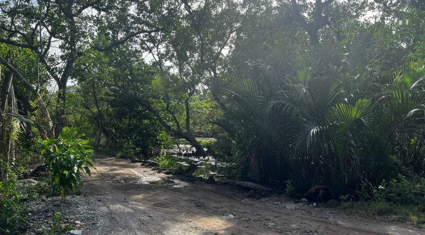 WhatsApp Image 2026-02-18 at 9.49.34 AM (1)