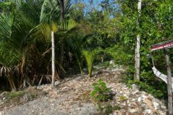 WhatsApp Image 2026-02-18 at 9.49.34 AM (3)