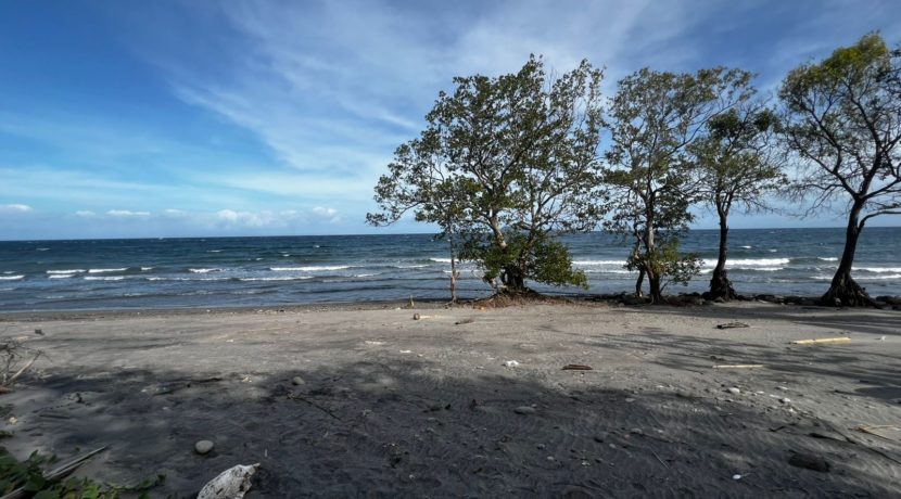 WhatsApp Image 2026-02-18 at 9.49.34 AM