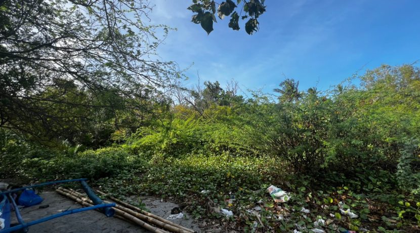 WhatsApp Image 2026-02-18 at 9.49.35 AM (2)