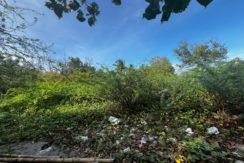 WhatsApp Image 2026-02-18 at 9.49.35 AM (3)