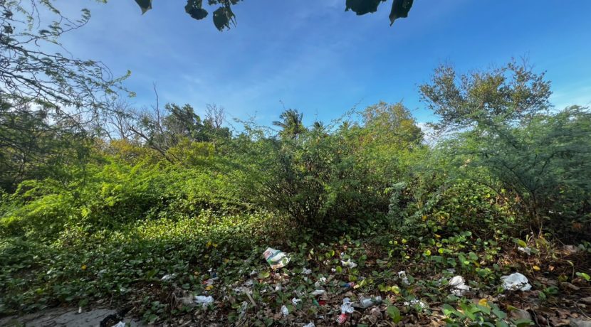 WhatsApp Image 2026-02-18 at 9.49.35 AM (3)